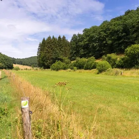 In In The Southern Eifel, Cleaning Included Waxweiler