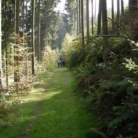 In In The Southern Eifel, Cleaning Included